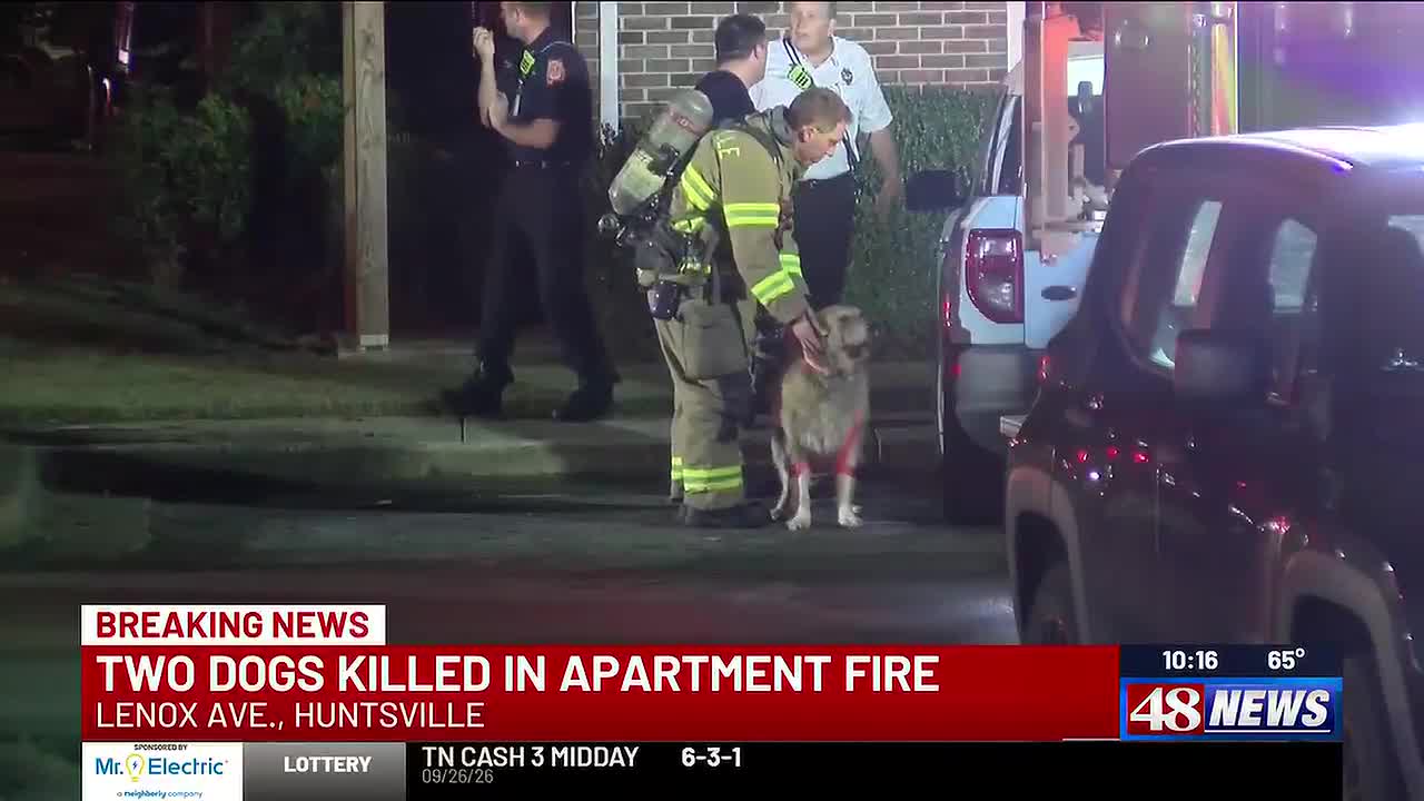 Apartment Fire Displaces Residents, Claims Two Dogs in Huntsville