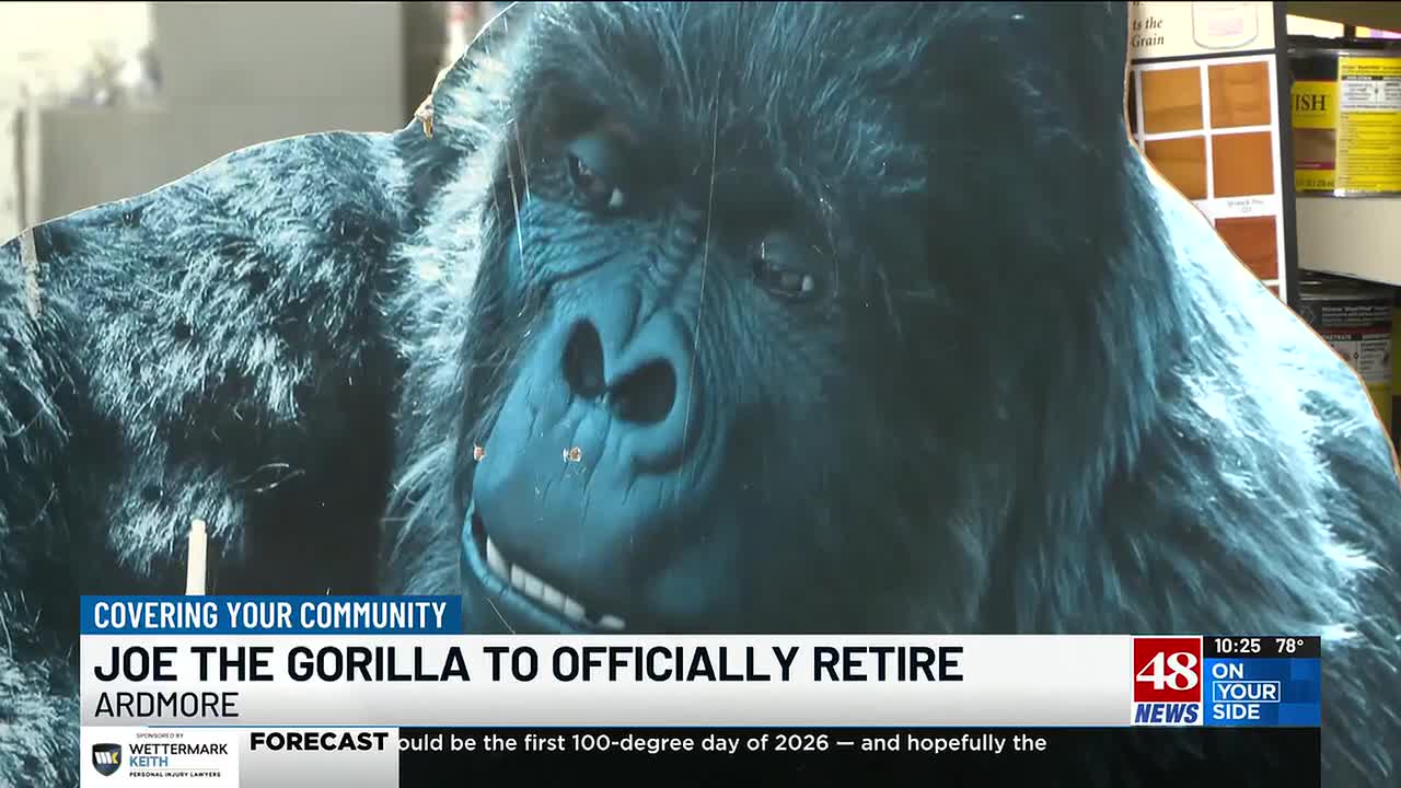 Компания Gorilla Glue прислала нового манекена после вирусной кампании по выходу на пенсию 20-летнего символа магазина