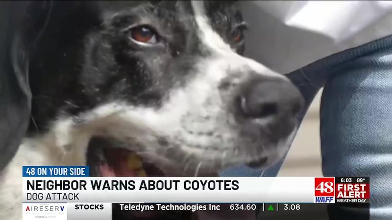 A Madison County woman is urging neighbors to stay alert after she says her dog was attacked...