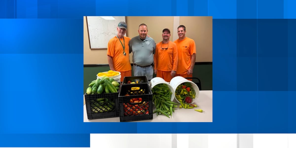 Sheriff's office garden source of food for people in Lincoln County