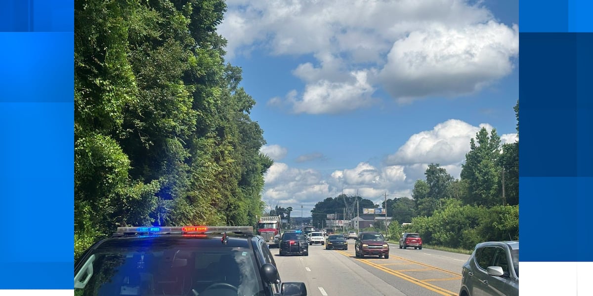 Vehicle crashes into Tennessee River backwaters; Hwy. 67 in Decatur temporarily closed