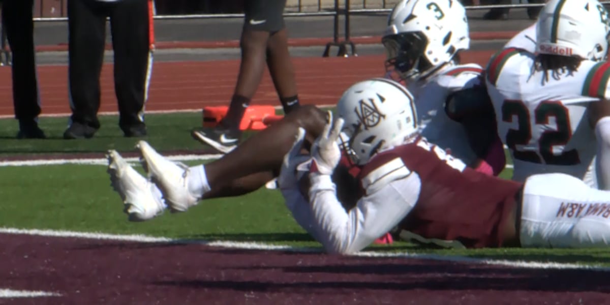 Alabama A&M caps off Homecoming with 20 point victory