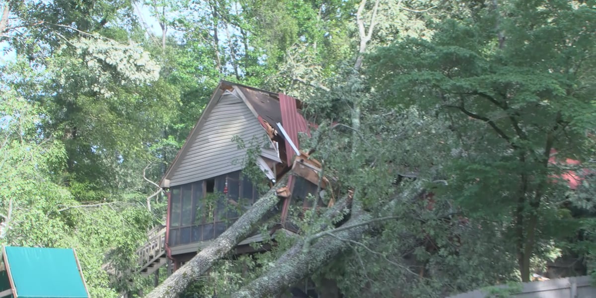 Several Limestone Co. homes damaged after strong winds knock trees over