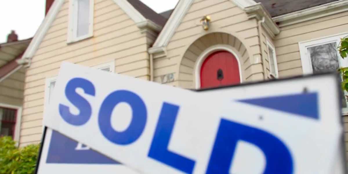 Local Implications for the Austin Market