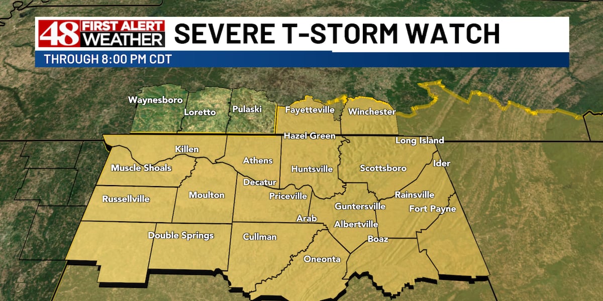 Strong Storms this afternoon
