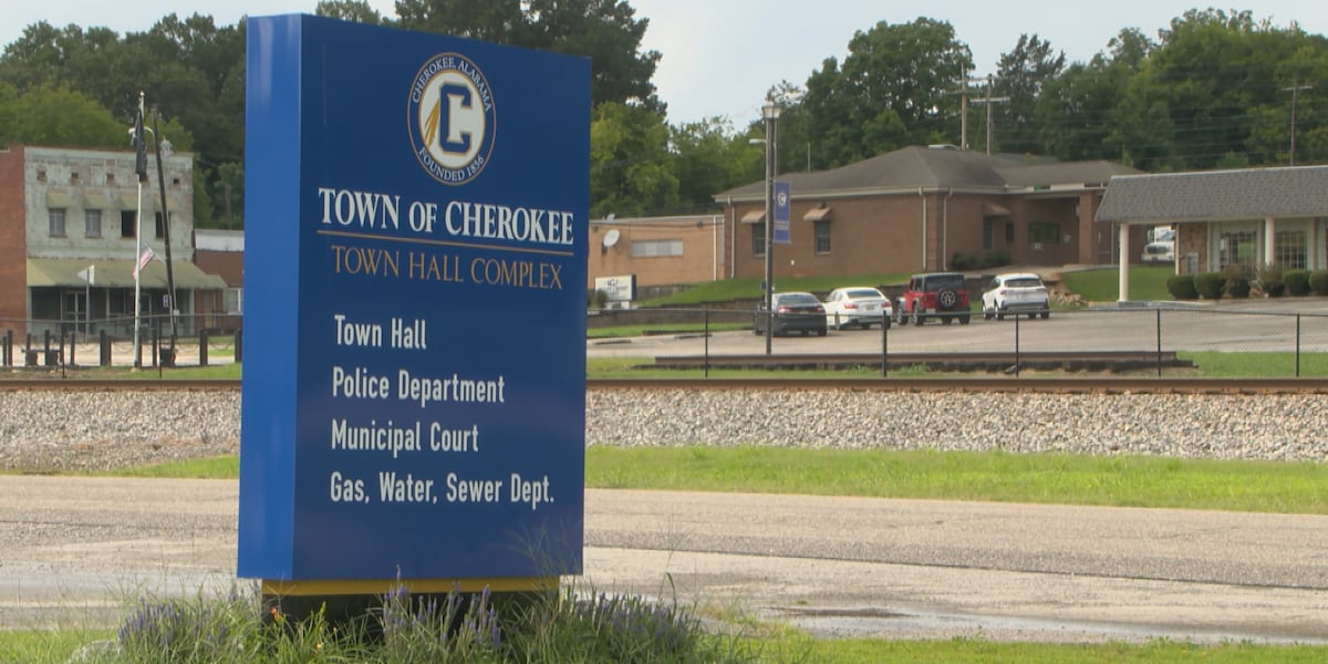 Town implements zoning board to help foster growth before Hadrian moves in
