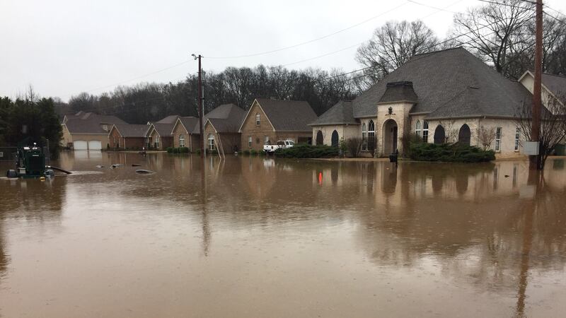 Nathan Estates in Muscle Shoals