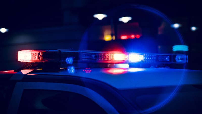 A man was arrested in Fayetteville after a domestic disturbance involving a gun.