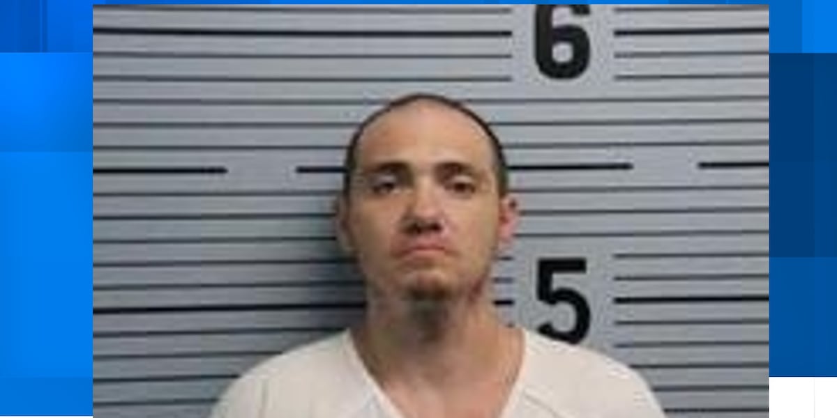 Ralph Steed accused of breaking into homes, assaulting victims with hammer