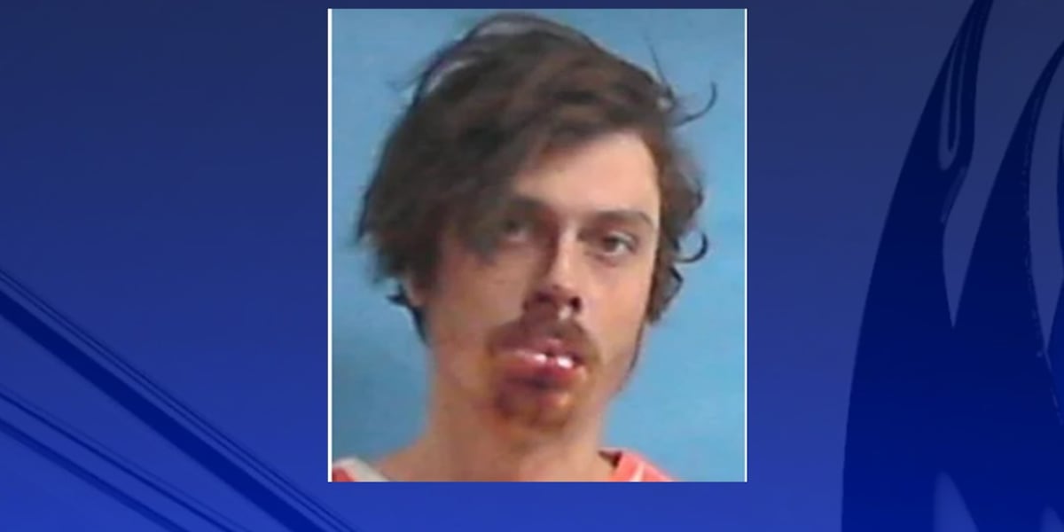 Decatur man arrested following high-speed chase in Arkansas