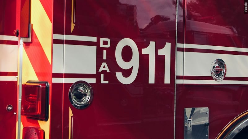 FILE - The coroner said an Alabama teen died late Thursday after he was attacked by a pack of...