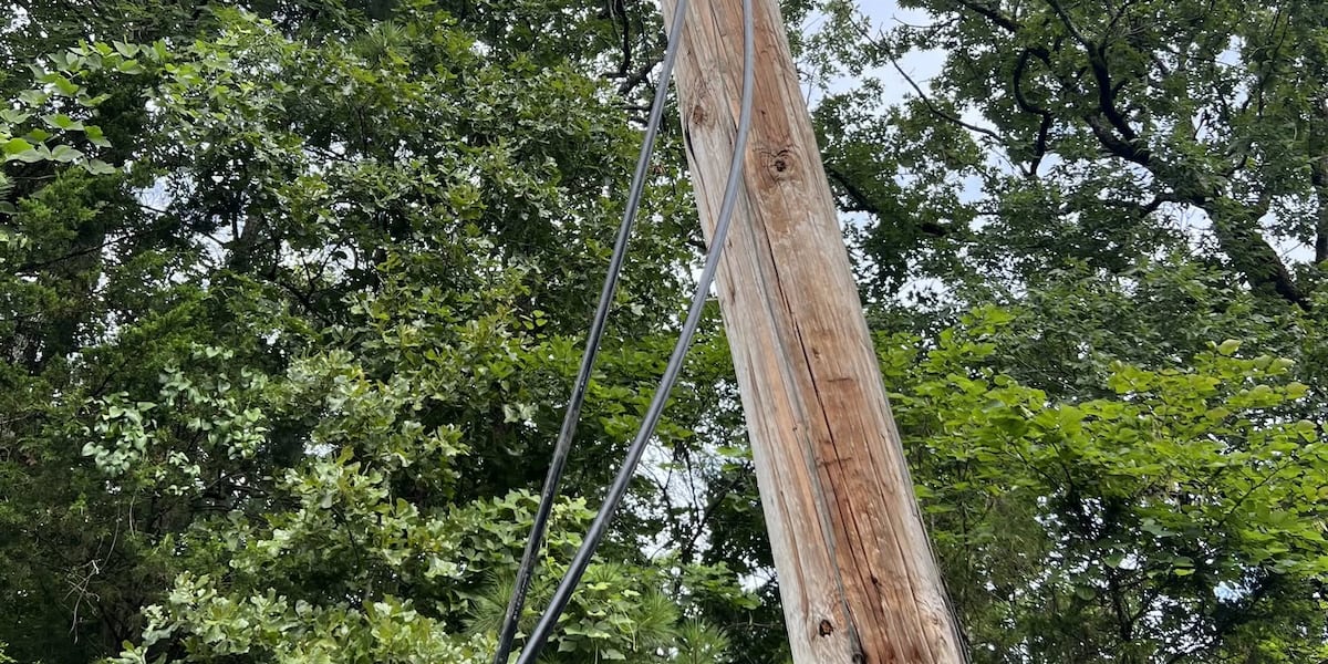 Officials searching for someone who cut a fiber-optic cable in Lacey's Spring