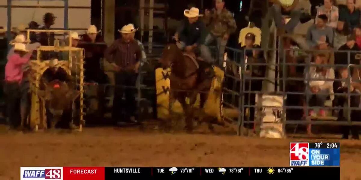 ‘Rain or shine’: The 42nd annual Limestone County Sheriff’s Rodeo is ...
