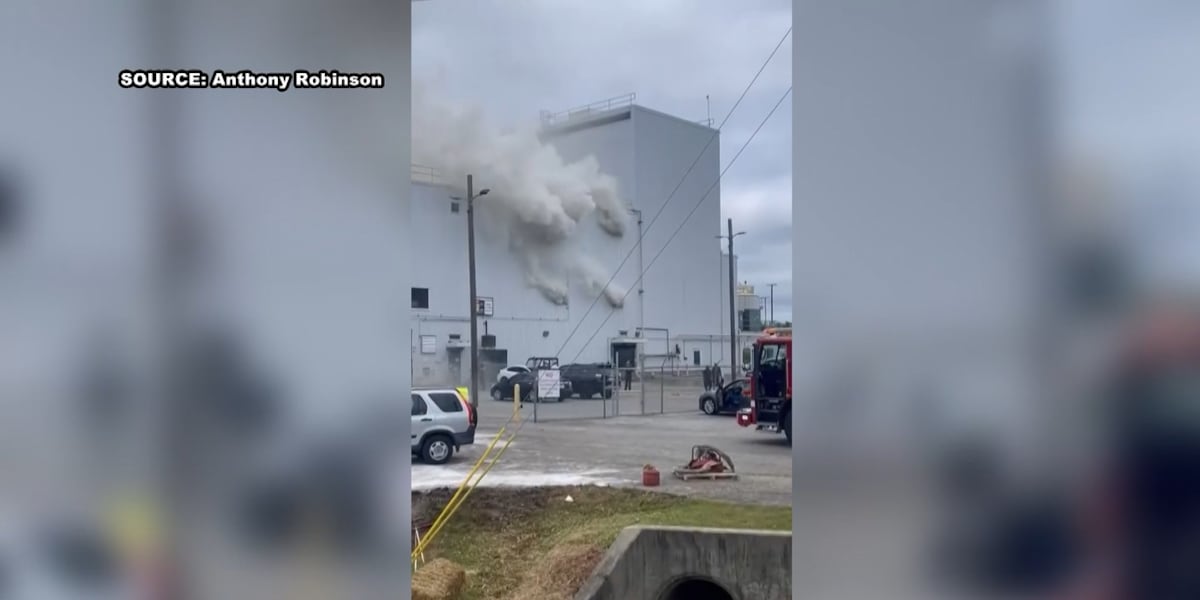 Several agencies respond to fire at Bunge processing plant in Decatur