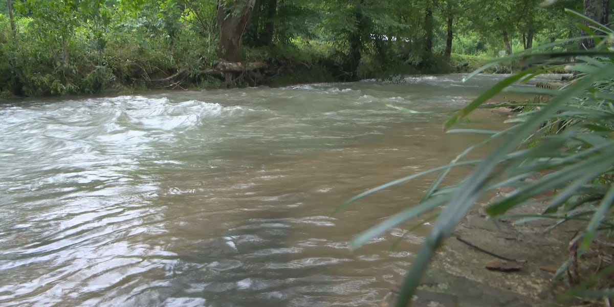 ‘The highest I've ever seen it': Homeowners around Lauderdale Co. saw a high rise in water