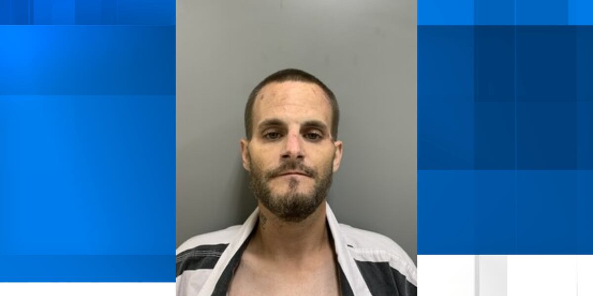Shane Lepp Shane Lepre arrested following Morgan County police pursuit