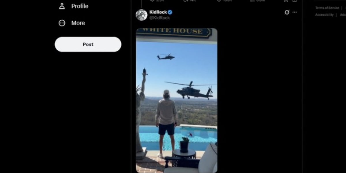 Review underway into Apache helicopters flying around Kid Rock’s home ...
