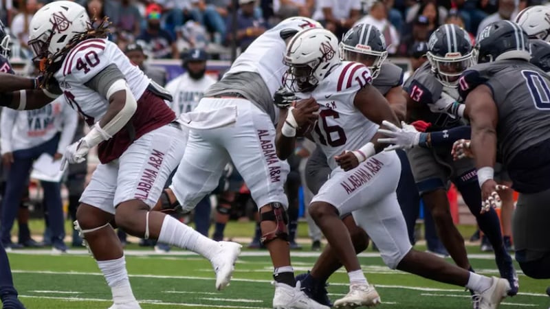 Alabama A&M Bulldogs