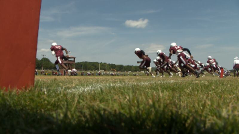 Alabama A&M Bulldogs