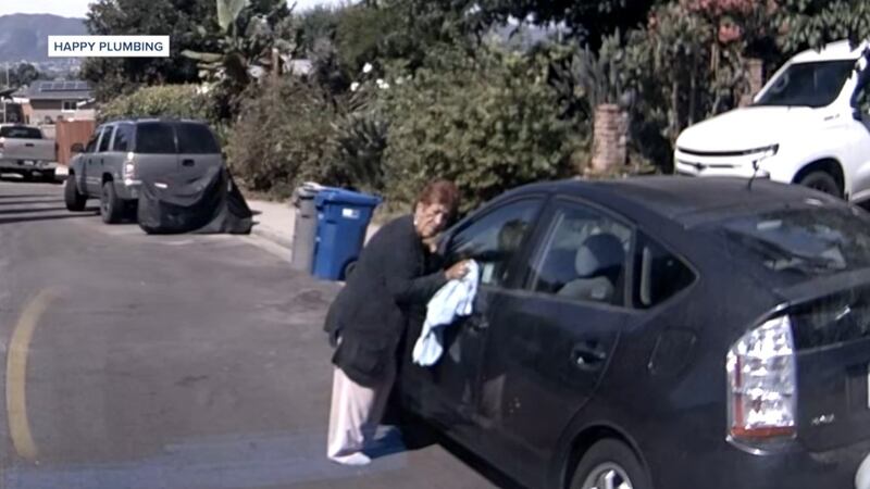 2025 japan earthquake memorial 2025 japan earthquake memorial